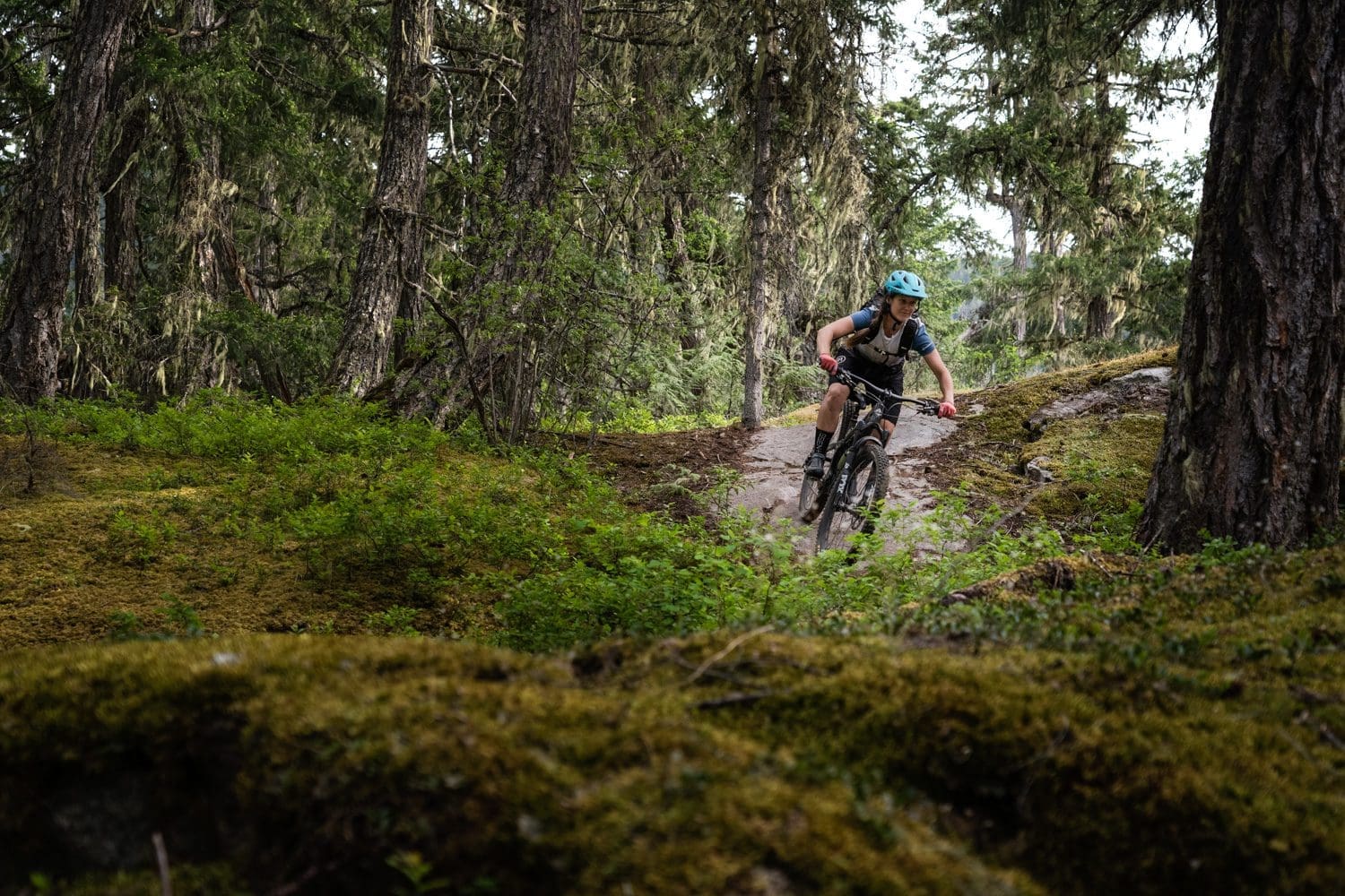 0531_Arbutus_Web_MW-59
