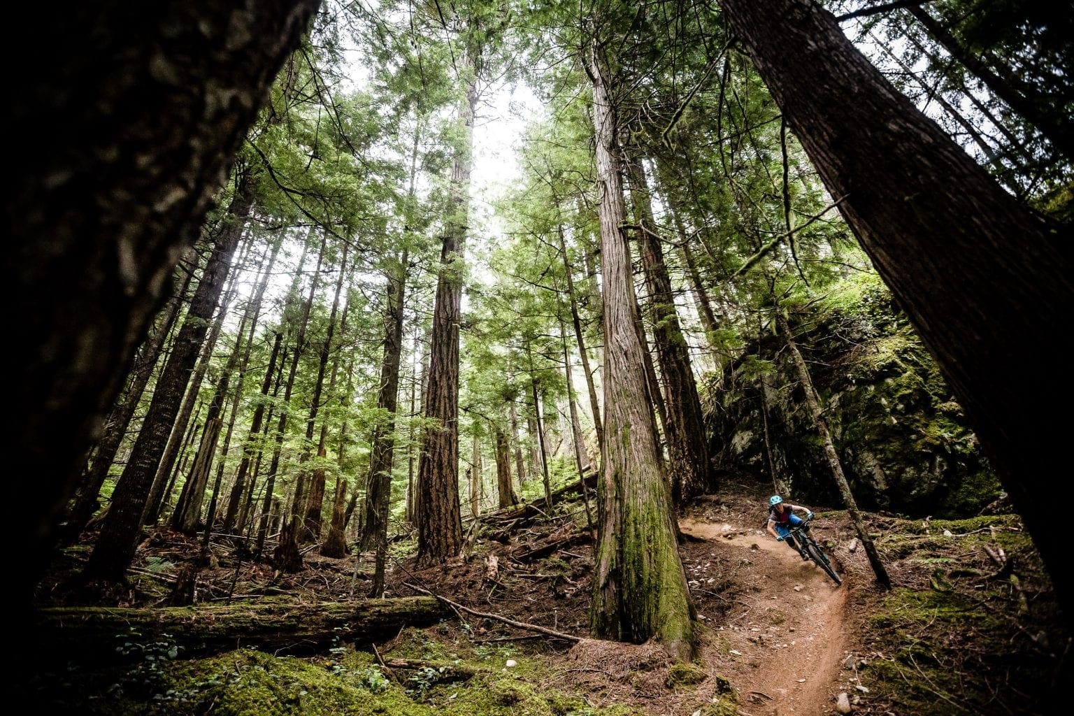 Biking is the only New Year’s Resolutions you need! - Featured Image