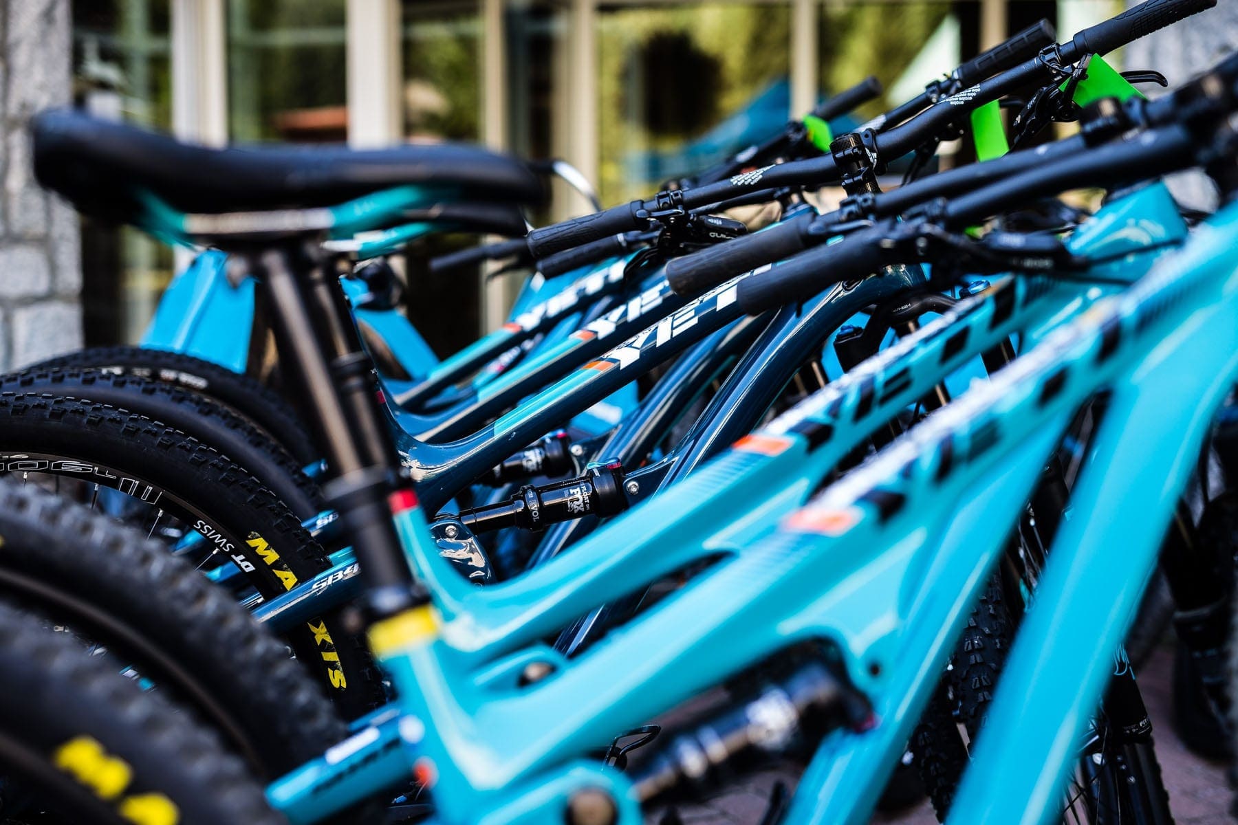 Bike Rentals & Tours - Primary Image Trail bike rental